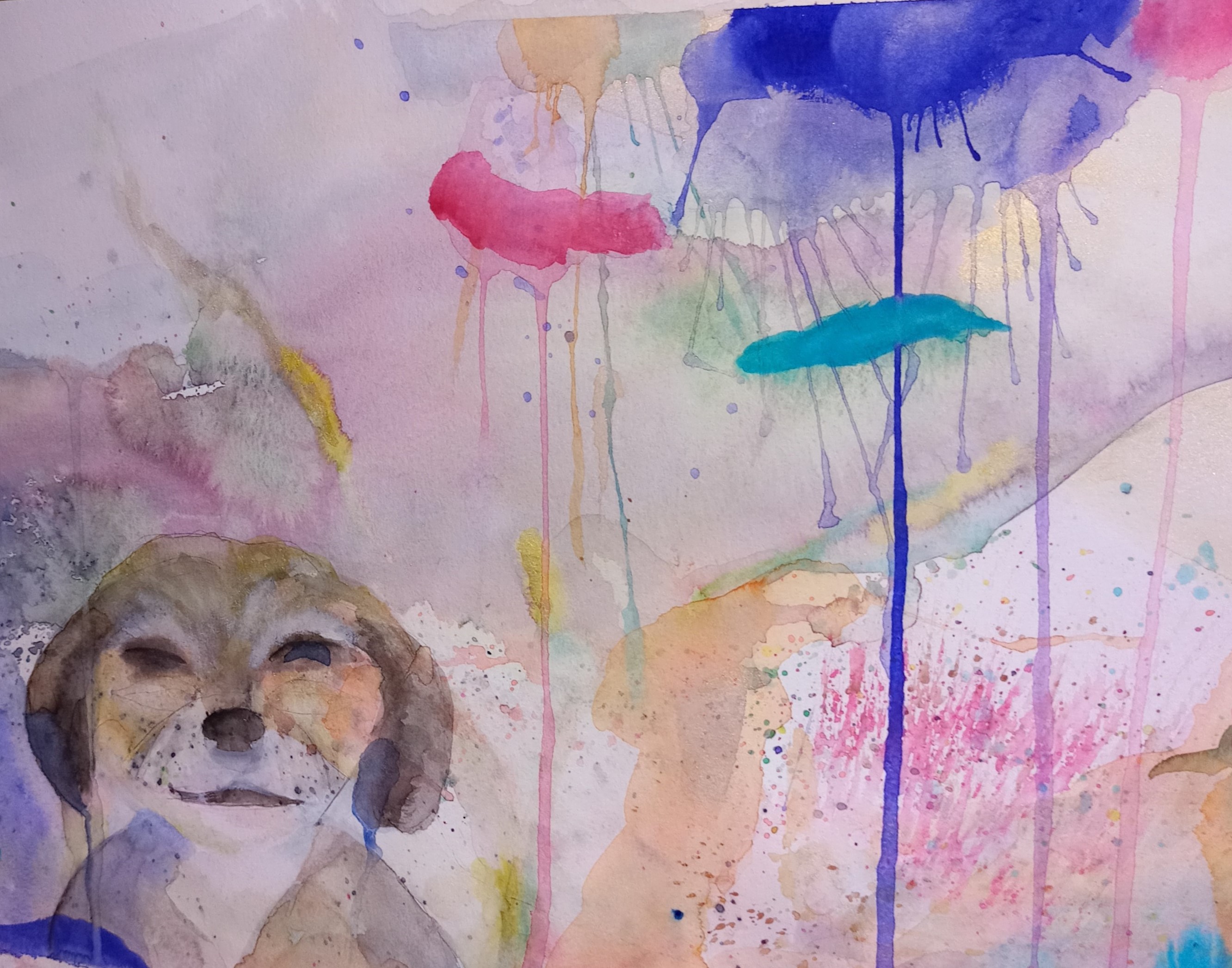 Miko mon petit chien