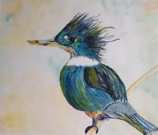 Martin Pêcheur aquarelle sur papier